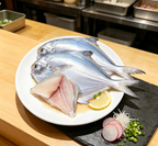 Silver Pomfret